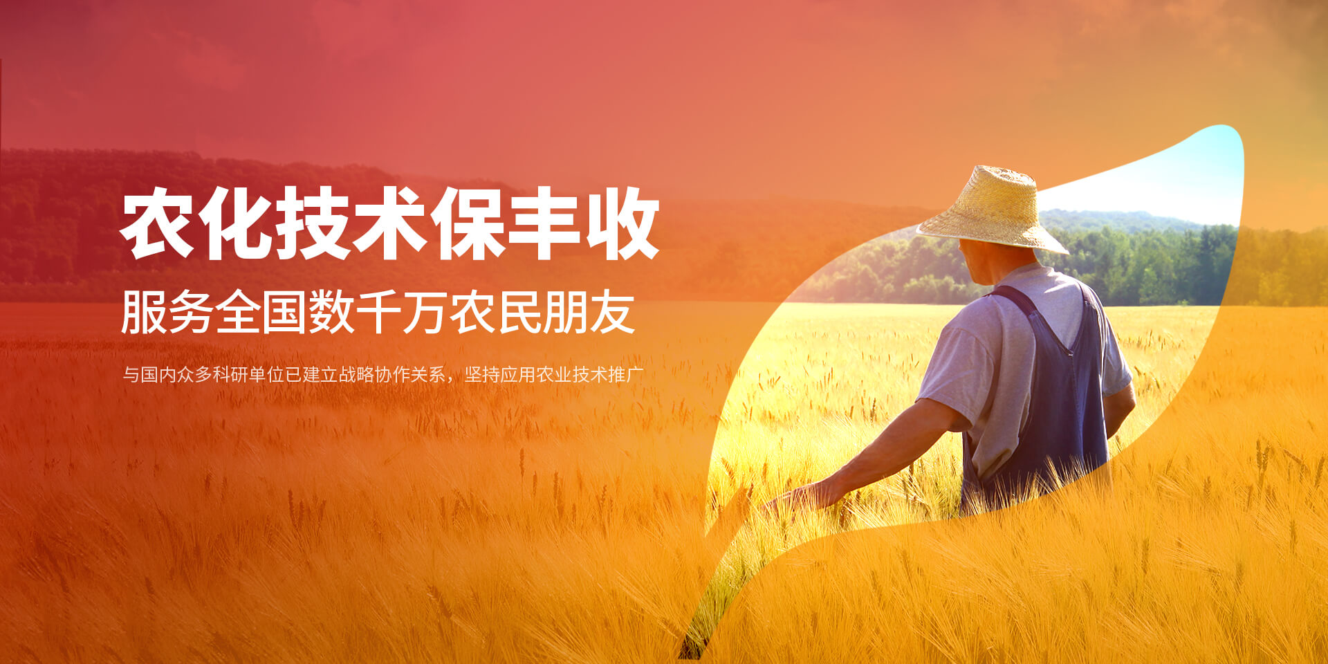 安陽猫咪官网在线观看新肥科技有限公司