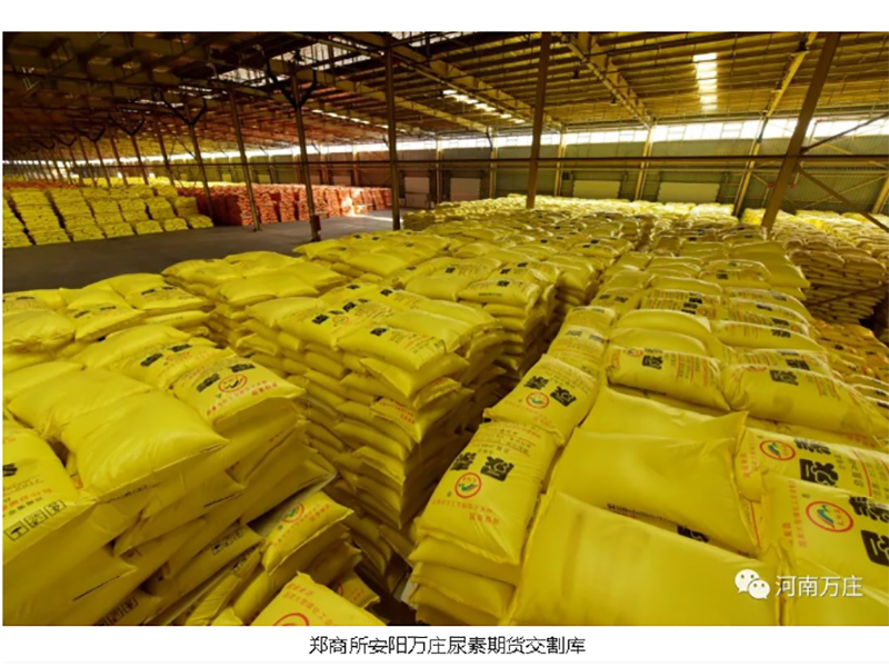 安阳猫咪官网在线观看助力商品国内大循环